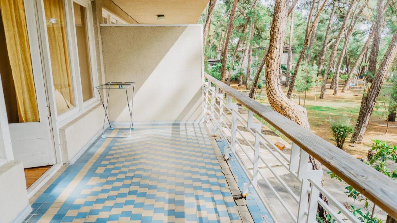 فندق Lidzavaفي  Gosdacha Ldzaa المظهر الخارجي الصورة